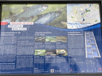 Fischwanderhilfe-Beschreibung