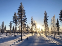 2022-02-15-Fahrt-nach-Rovaniemi-Sonne-kaempft-sich-durch