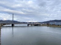 Blick auf die Donaubrücke