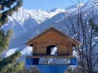 Vogelhaus-neben-der-Hütte