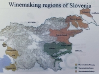 Weinregionen-in-Slowenien