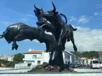2022-07-21-Terceira-Angra-do-Heroismo-Stierkreisverkehr