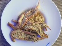 Restaurant-La-Barca-Abendessen-Pasta-mit-Shrimps-und-Garnelen
