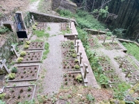 Kleiner-Friedhof-des-Klosters