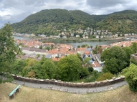 2022-09-09-Heidelberg-Blick-vom-Schloss-auf-den-Neckar