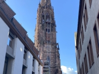 Erste-Sicht-auf-das-Freiburger-Münster