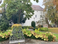 Schloss-Traismauer