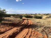 2022-10-29-Kalahari-Wüste-Landschaftsfahrt