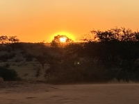 2022-10-29-Kalahari-Wüste-Sundowner-gleich-ist-sie-weg