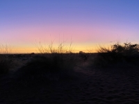 2022-10-29-Kalahari-Wüste-Sundowner