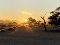 2022-11-03-Namib-Wüste-Sonnenaufgang