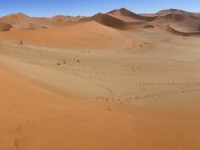 2022-11-03-Düne-in-Namib-Wüste-Jutta-1