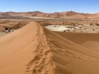 2022-11-03-Düne-in-Namib-Wüste