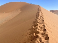 Nationalpark Namib Wüste Tafel Kopfbild