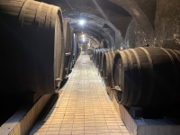 Grösster-und-ältester-klassischer-Weinkeller-Europas