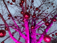 Kugeln-am-Weihnachtsbaum