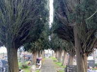 Friedhof-in-Motovun