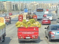 2023-02-18-Kairo-Bananentransport
