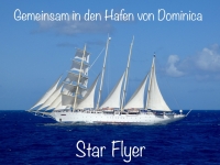 2023-03-20-Dominica-Styrflyer