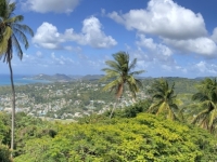 2023-03-19-St-Lucia-Blick-auf-den-Hafen-von-Rodnay-Bay