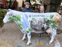 Kuh vor dem Restaurant Sternbräu