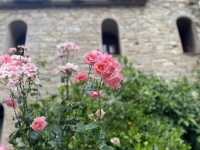 2023-06-17-Kloster-Evangelistria-hunderte-Blumen