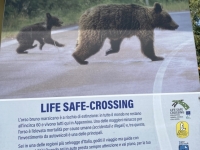 Warnung-vor-und-für-Bären