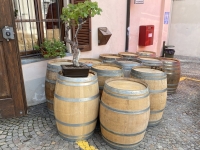 Baricfaesser-fuer-Weinfest