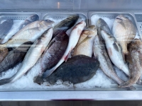 Ormos-Panagia-Abendessen-Fischauswahl