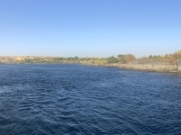 2023-11-20-Naturfahrt-auf-dem-Nil