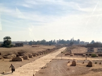 2023-11-18-Sphinxallee-zwischen-Karnak-und-Luxortempel