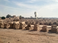 Sphinxallee-zwischen-Karnak-und-Luxortempel