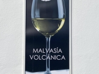 Typischer-Wein-Malvasia