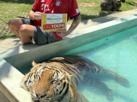 2024-02-27-Phuket-Tigerpark-Wassertiger-Reisewelt-on-Tour
