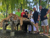 2024-02-27-Phuket-Tigerpark