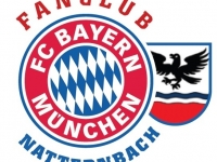 FCB Fanclub Natternbach Logo Juni 2019