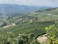 Italien-Weinbaugebiete-im-Piemont-Kopfbild-1