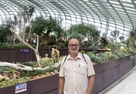 2023 11 14 Singapur Flower Dome grösstes Glasgewächshaus der Welt