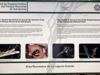 Spanien Nationalpark Garajonay Kanaren auf Insel La Gomera Tafel 2