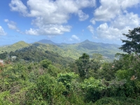St. Lucia Pitons Naturschutzgebiet Kopfbild 2