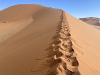 Namibia Namib Wüste Kopfbild