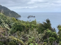 Neuseeland Naturschutzgebiet Te Wahipounamu Knights Point Kopfbild