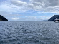 Neuseeland Naturschutzgebiet Te Wahipounamu Milford Sound Kopfbild