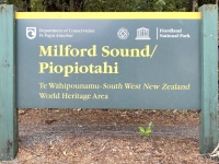 Neuseeland Naturschutzgebiet Te Wahipounamu Milford Sound Tafel 1